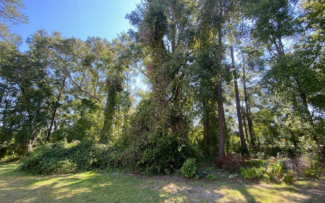 Property view 2